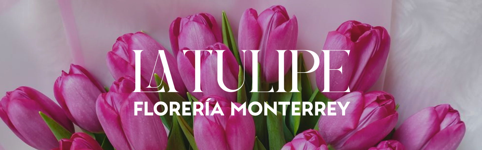 LA TULIPE FLORERÍA MONTERREY